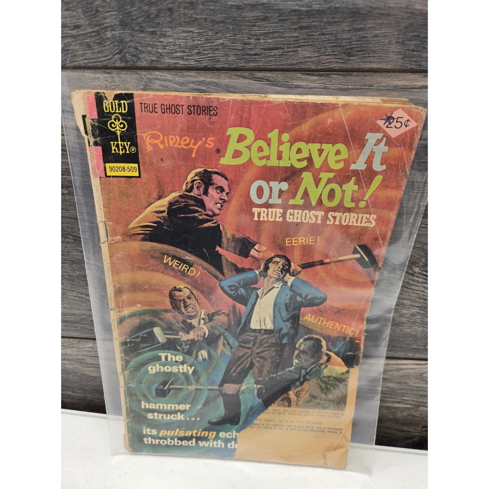 Vintage Gold Key Ripley's Believe It or Not True Ghost Stories Comic 90208-509